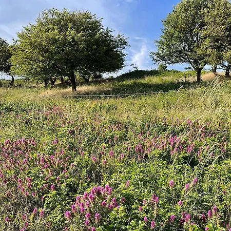 Bright House - By Traum