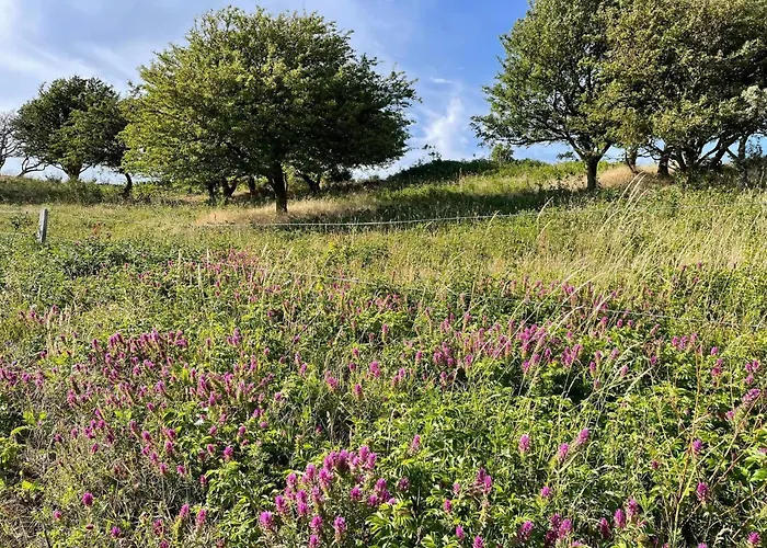 Bright House - By Traum